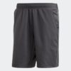 Short ergo prime grey